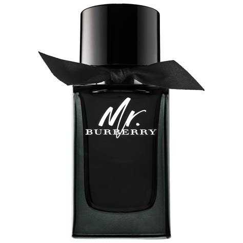 mr burberry priceline|mr Burberry cologne.